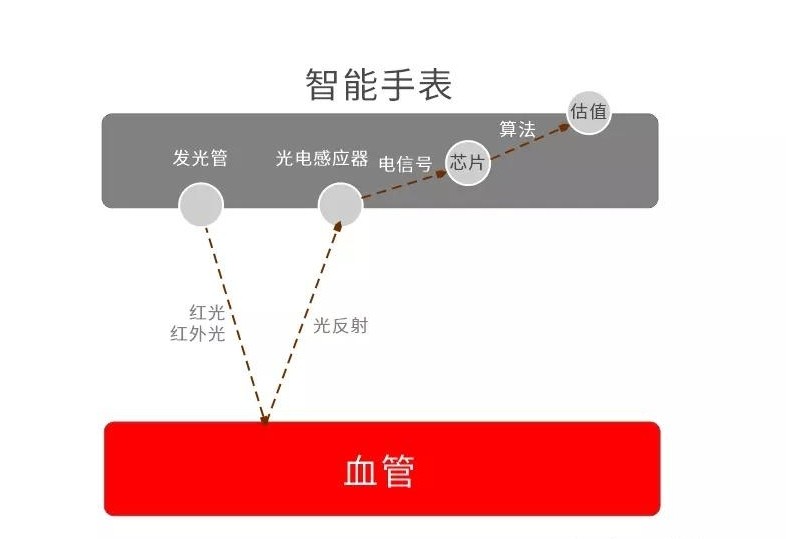 智能手表測(cè)血氧原理