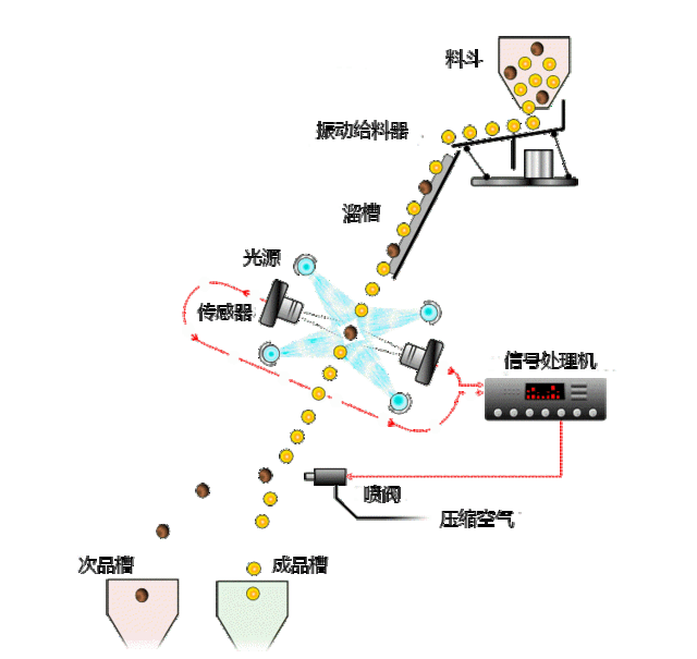 色選機(jī)工作原理動態(tài)圖