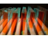 光子美容儀IPL濾光片