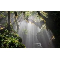 光的干涉、衍射、折射、反射、散射